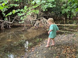 Stream