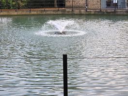 Fountain in lake