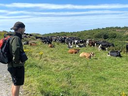 Moo
