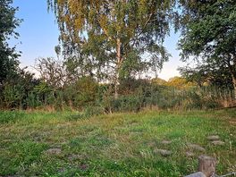 Evening walk around the campsite.