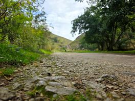 Lovely walks