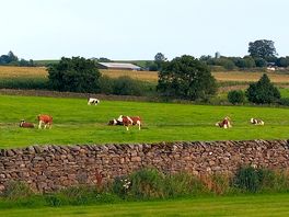 Lovely views