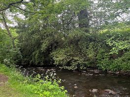 Brook again