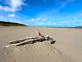 Poppit sands becah