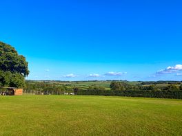 Playing field