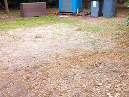The pitch