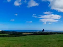 The views