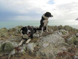 We are on holiday