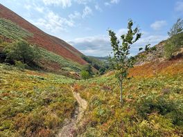 Stiperstones walk