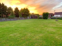 Sunset over the grass