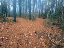 Trails to other sections of camping, common areas and farm