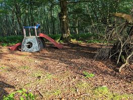 Wooded walk