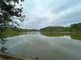 From my walk around the scenic countryside nearby