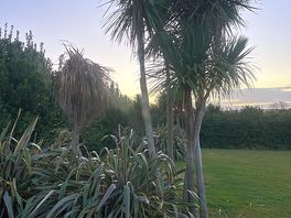 View from motorhome