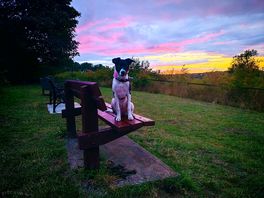 Beautiful sunset