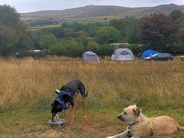 View from my tent