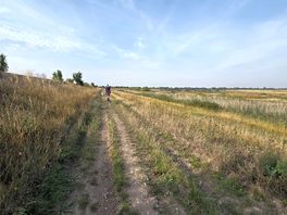 Walking path from site to left