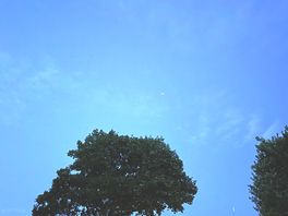 Evening skies
