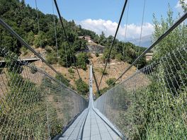 The suspension bridge