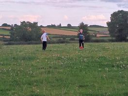 Massive feild