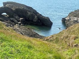 Our beach