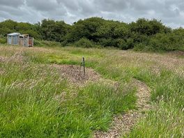 Paths to toilets and showers