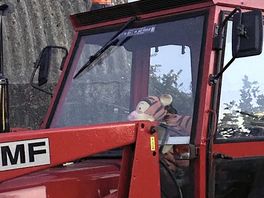 Tigger lives on the farm
