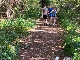 Walks in the woods
