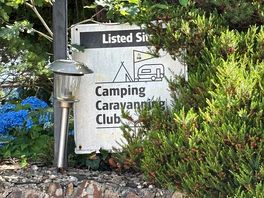 Sign hide in the bush