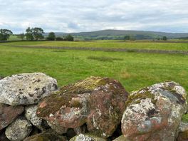 Views of lake district