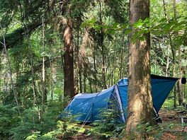 Tent in the forest