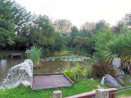 Fishing lake
