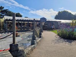 Summer nights bar and entertainment