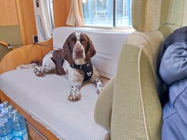 Everyone enjoyed the stay