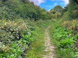 Short walk to the village