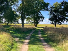 View to fields behind