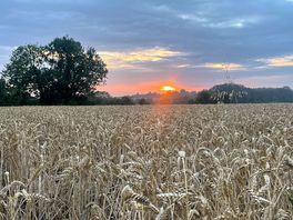Fields around the campsite