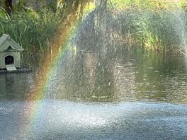 Rainbow over the water