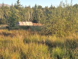 Our tent
