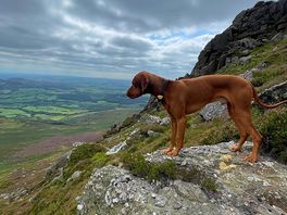 The cliffhanger