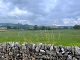 Surrounding fields