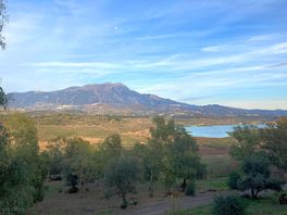 View from walk
