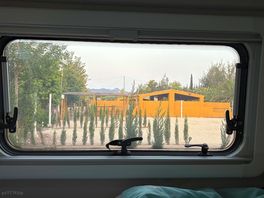 Room with a view