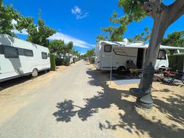 Campsite