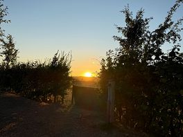 Sunset from the back of the pitch