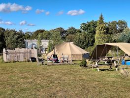 Full set up for foxglove