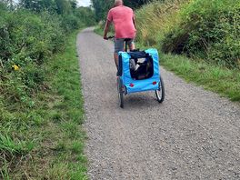 Tissington cycle trail