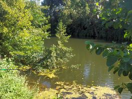 Lovely quiet place
