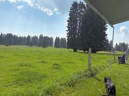 Our view