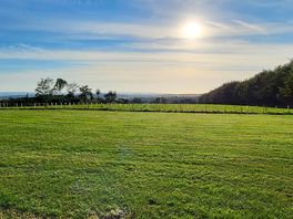 View from bell tent